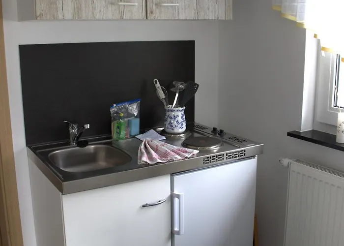 Daire Muschel Zingst