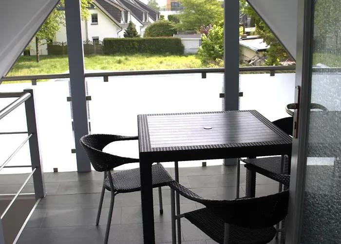 Muschel Daire Zingst