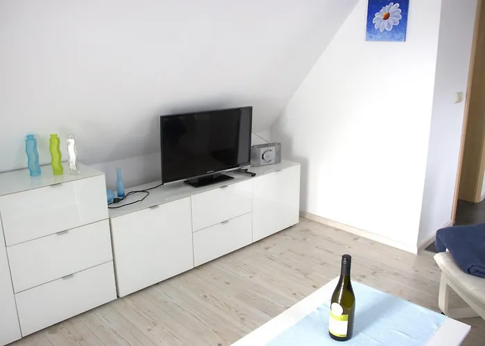 Daire Muschel Zingst