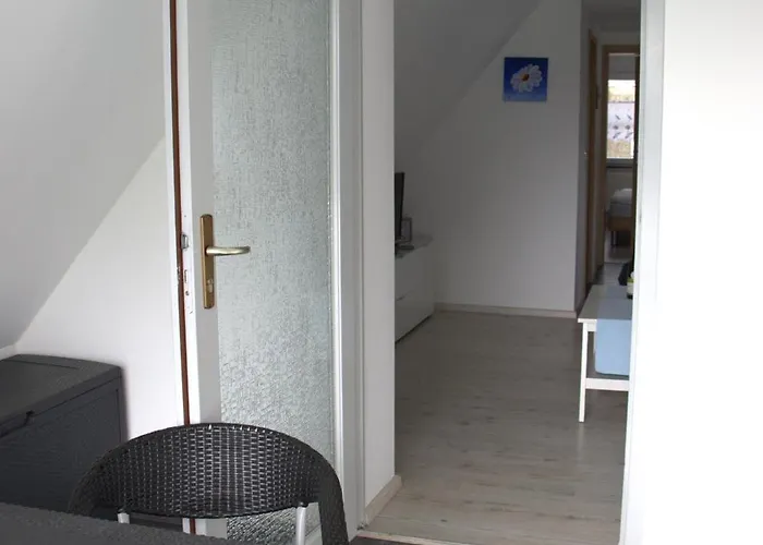 Daire Muschel Zingst